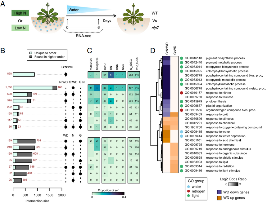 1770533599806072.png 图片3.png