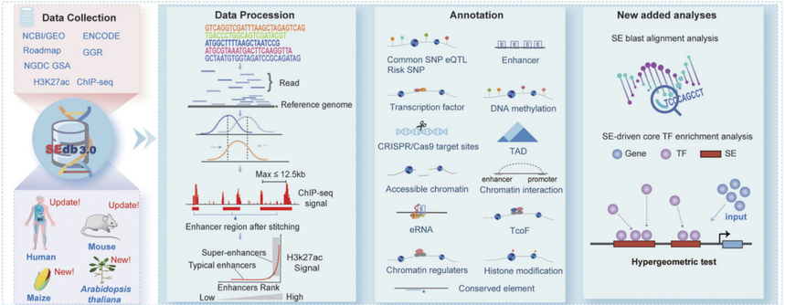 1770533857845996.png 图片1.png