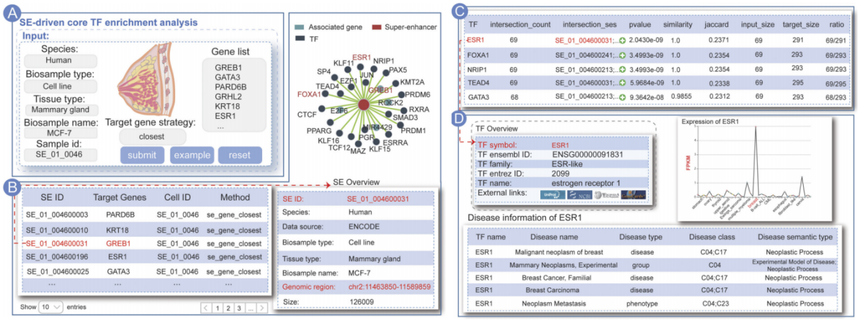 1770533989828840.png 图片4.png