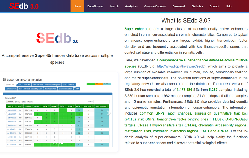 1770533999210390.png 图片5.png