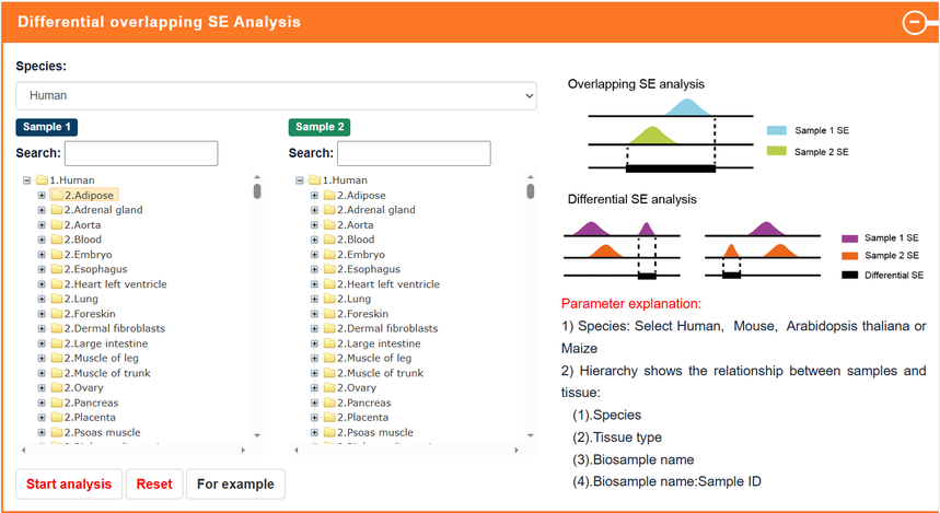 1770534110781589.png 图片13.png