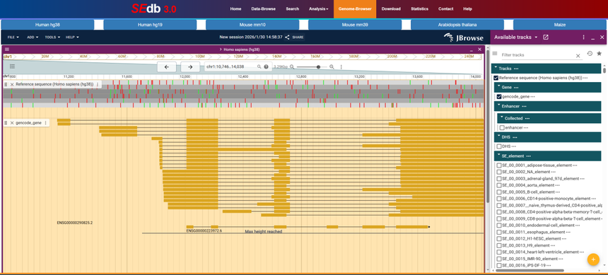 1770534154824856.png 图片17.png