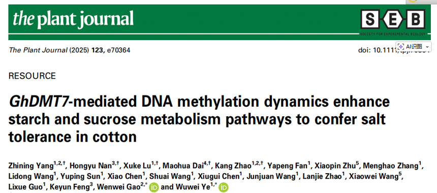 1770883944427893.png 图片1.png