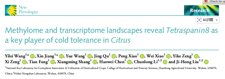 1770883989895518.png 图片2.png