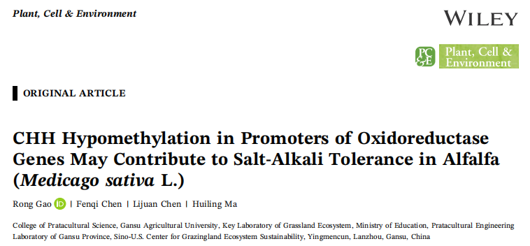 1770884012565940.png 图片3.png