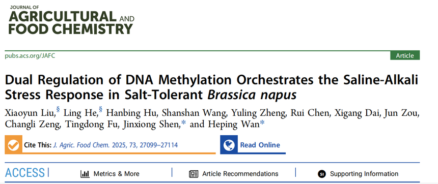 1770884071330389.png 图片5.png