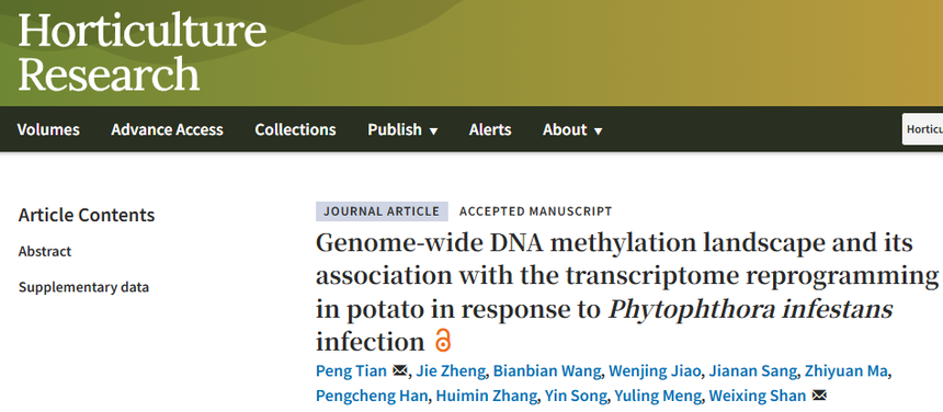 1770884115774769.png 图片7.png