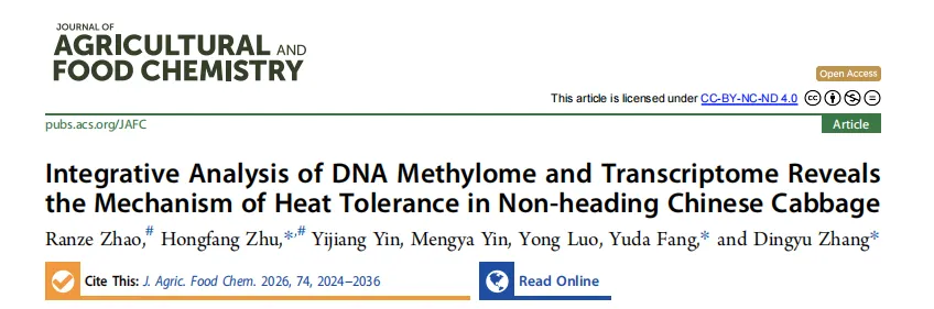 1770884167943907.png 图片9.png