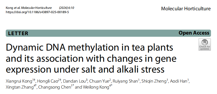 1770884197456367.png 图片10.png