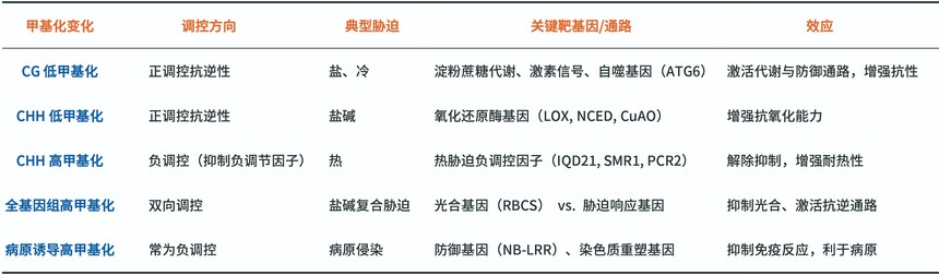 1770884225120367.jpg 甲基化变化.jpg