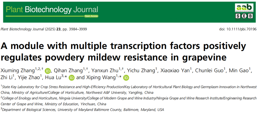 1770884451305196.png 图片2.png