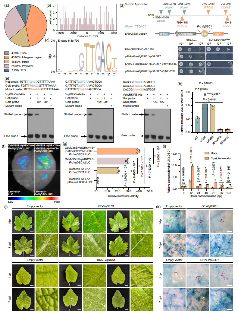 1770884488692456.png 图片3.png