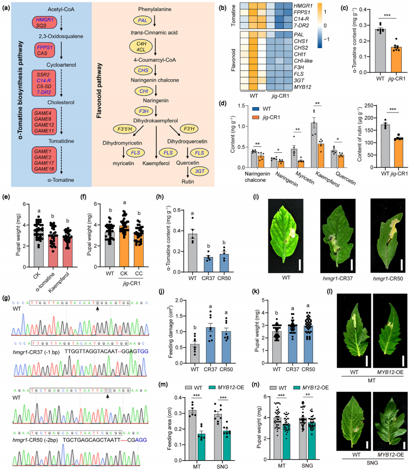 1770884546609661.png 图片5.png
