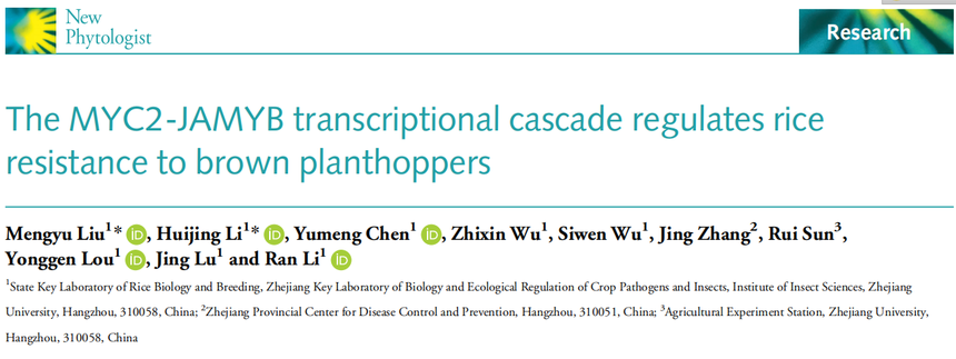 1770884569561141.png 图片6.png