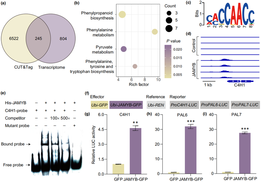 1770884612713981.png 图片7.png