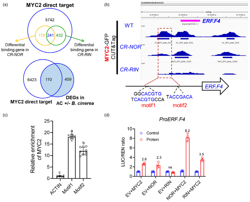 1770884677913953.png 图片9.png