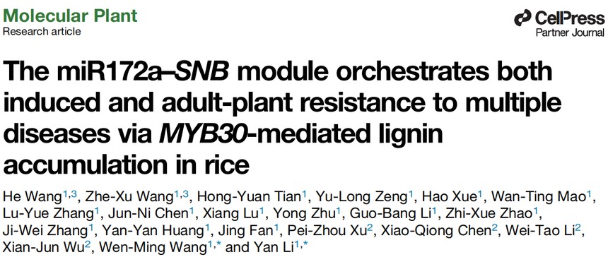 1770884706347956.png 图片10.png