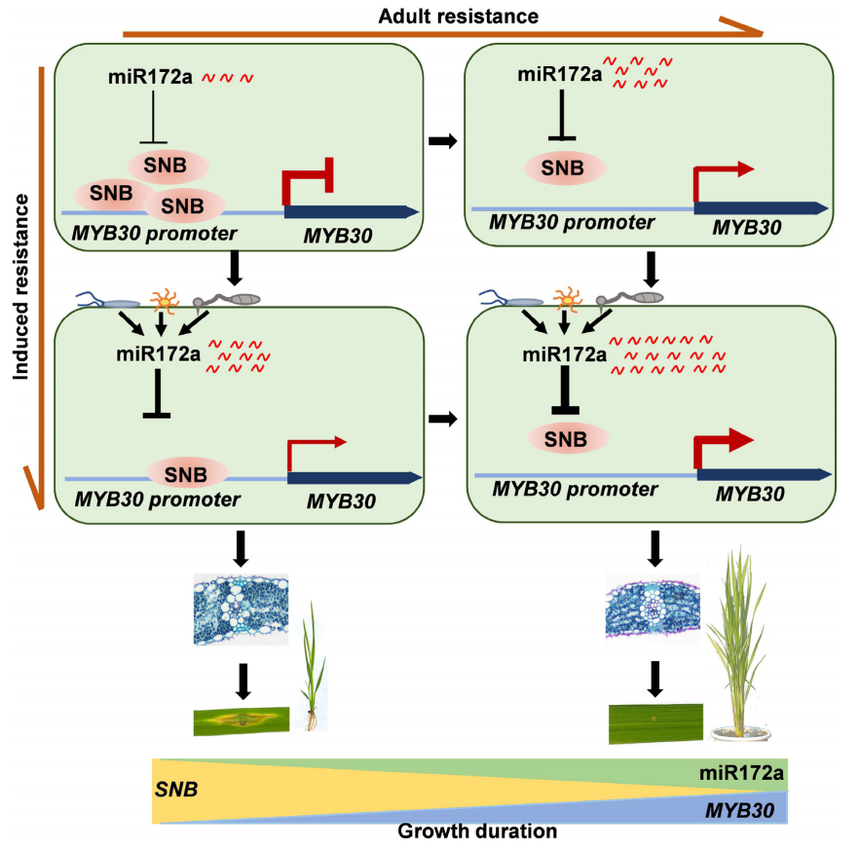 1770884744272149.png 图片11.png