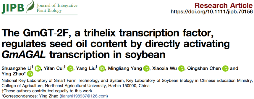 1772270231726191.png 图片1.png