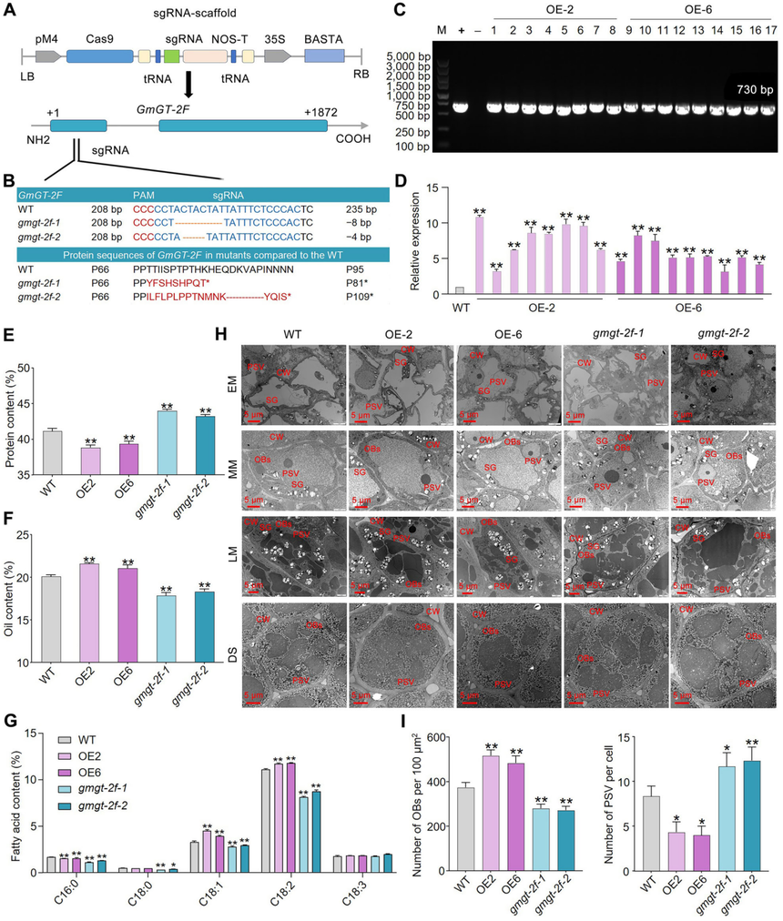 1772270252997823.png 图片3.png