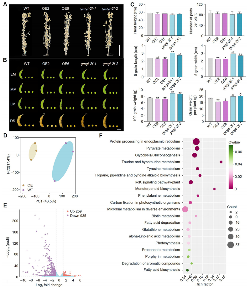 1772270278641357.png 图片4.png