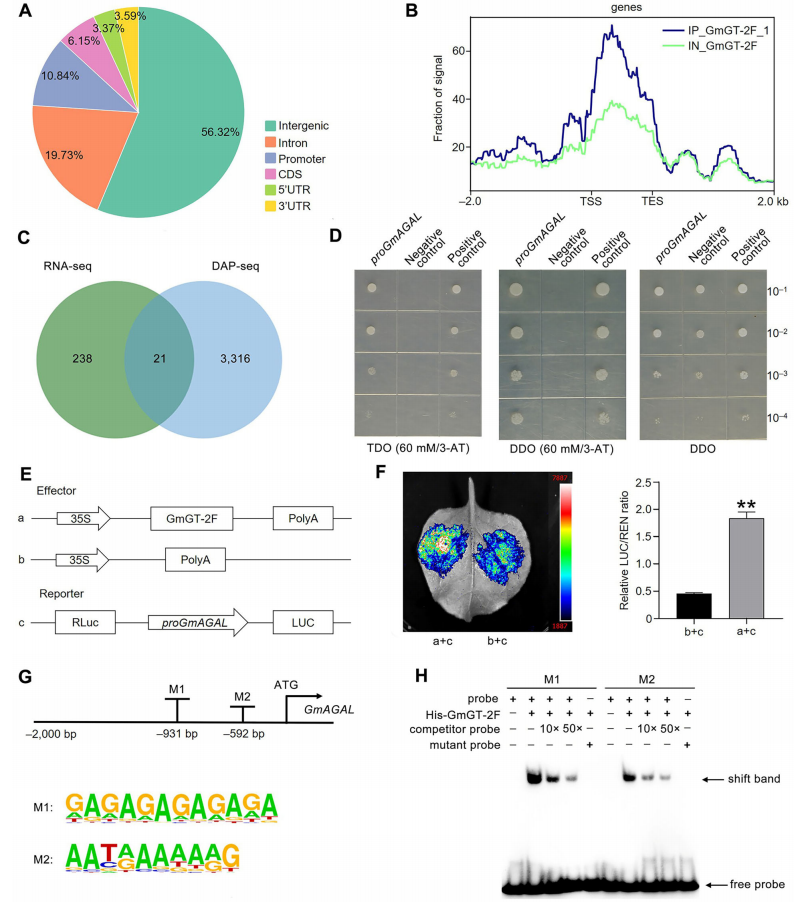 1772270351537649.png 图片5.png