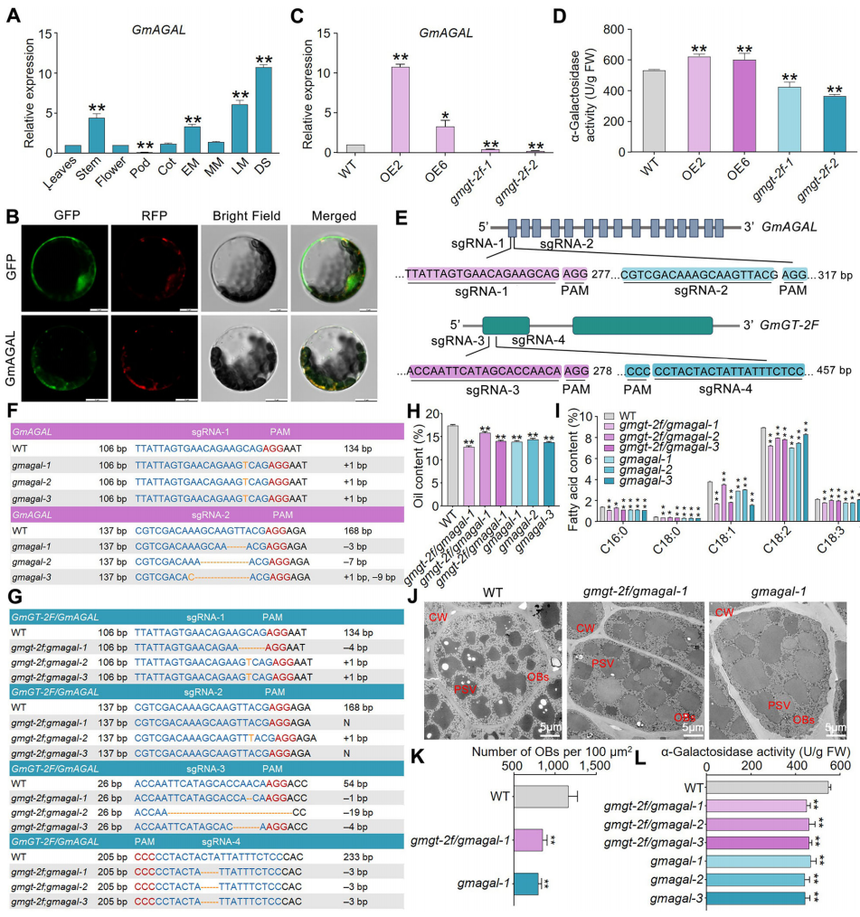 1772270362892758.png 图片6.png