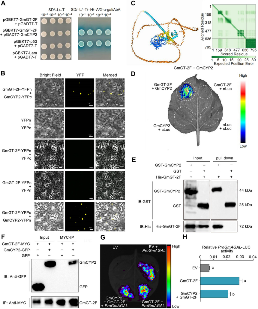 1772270372704844.png 图片7.png