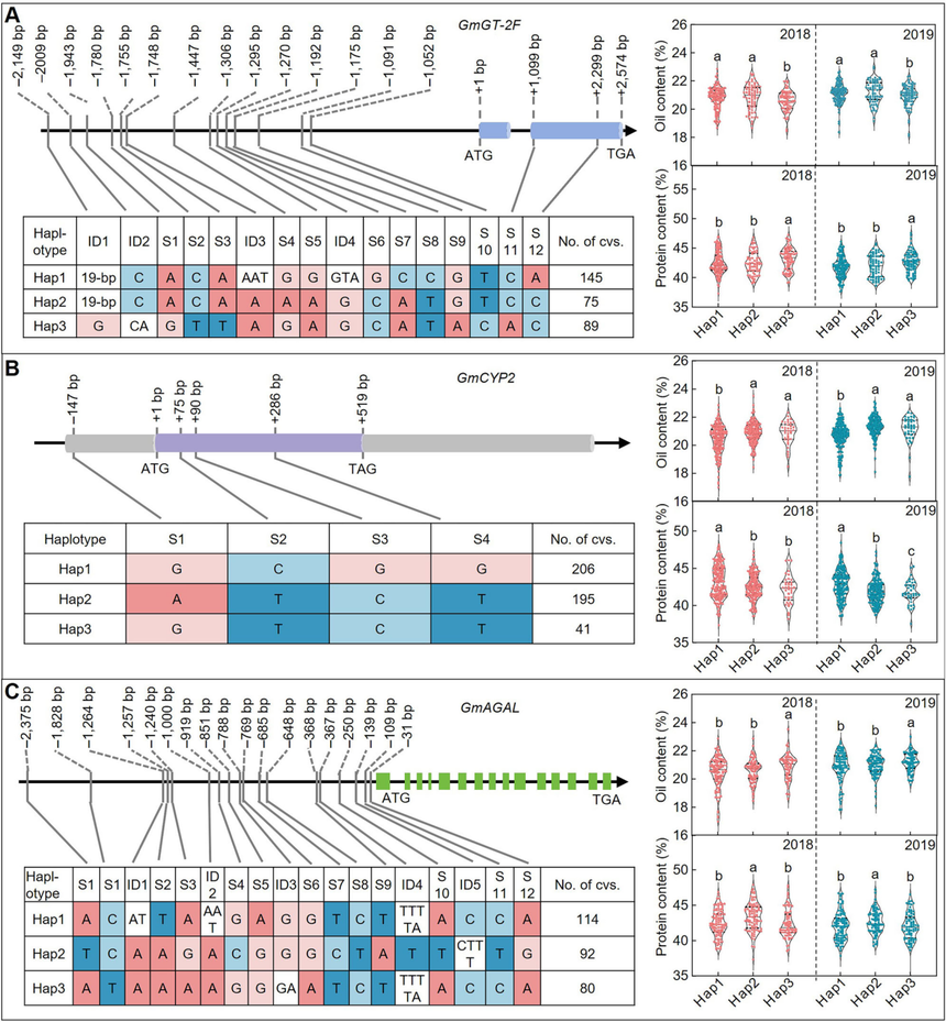 1772270383150106.png 图片8.png