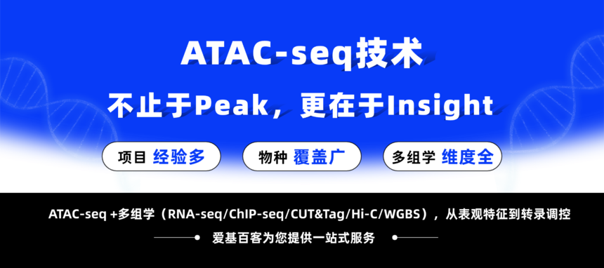 1772270836484137.png ATAC.png