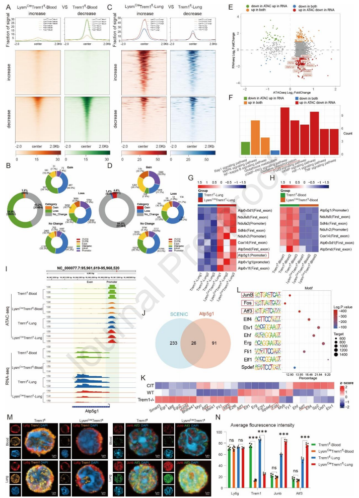 1772270914563523.png 图片2.png