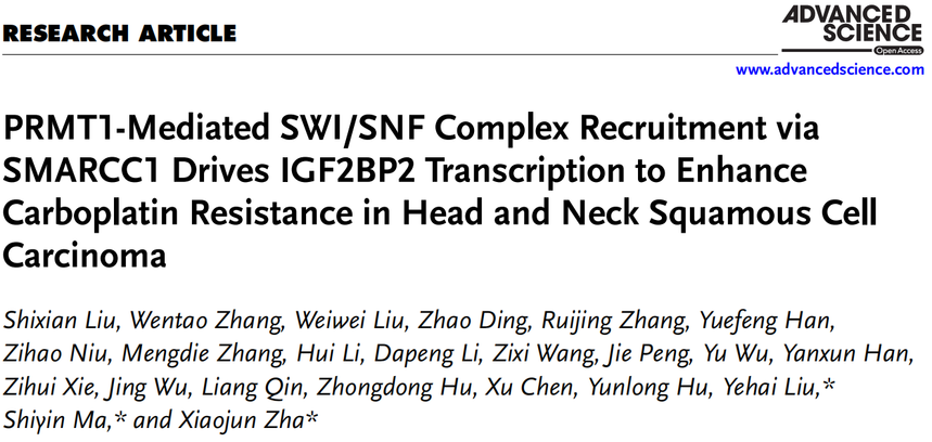 1772270922265013.png 图片3.png