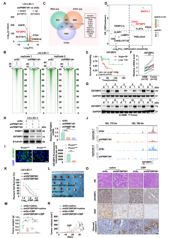 1772270938726475.png 图片4.png