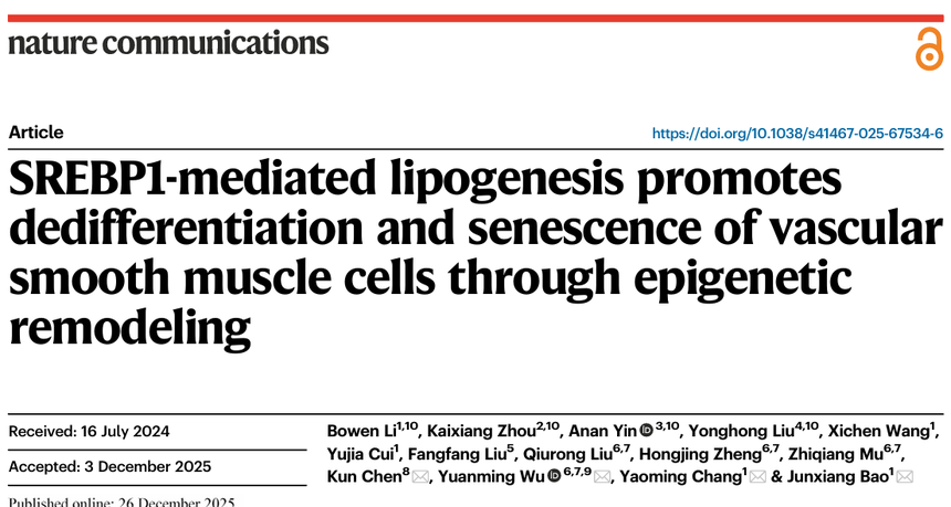 1772270947168227.png 图片5.png