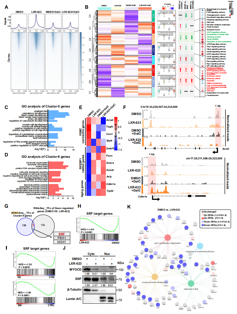 1772270960802977.png 图片6.png