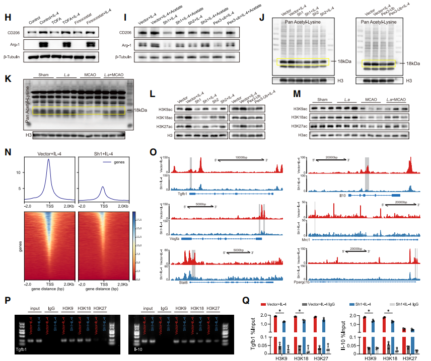 1772270982971030.png 图片8.png