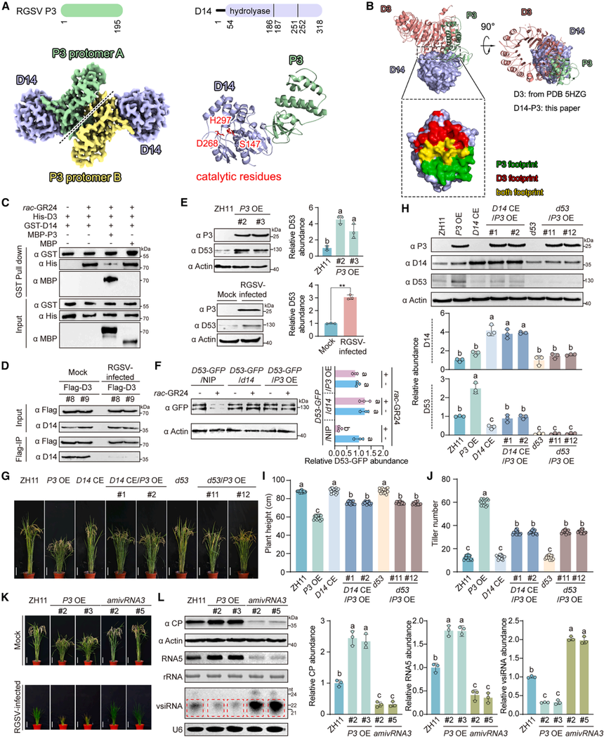 1773036991764449.png 图片6.png
