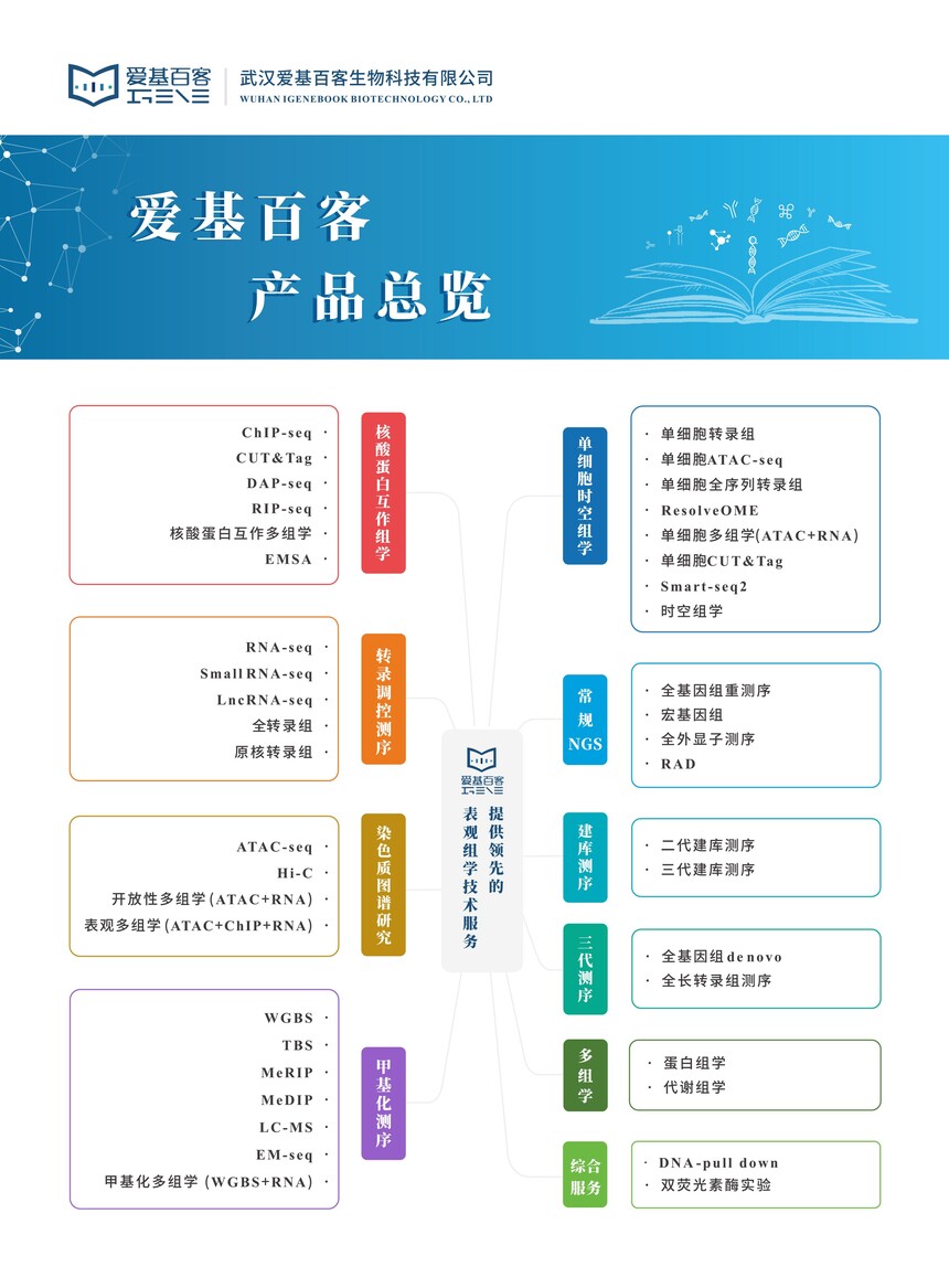 1773374505560117.jpg 2025.06.17 产品总览-2.jpg