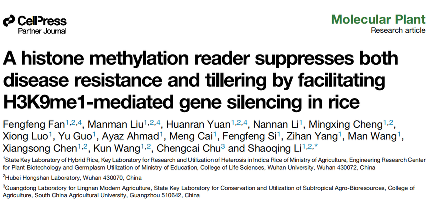1773998269746264.png 图片1.png