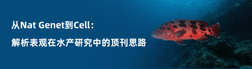 1774344577299498.png 稿定设计-1.png
