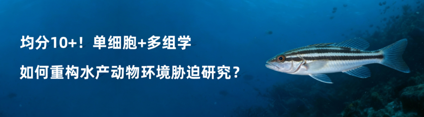 1774344587529678.png 稿定设计-2.png