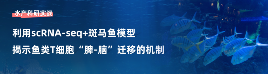 1774344597260396.png 稿定设计-3.png