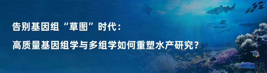 1774344608784248.png 稿定设计-4.png