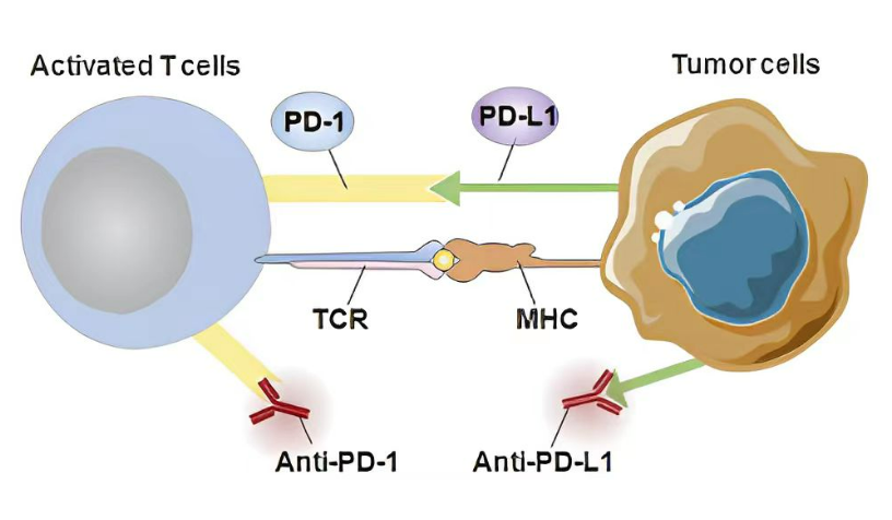 1767946982629986.png ScreenShot_2026-01-09_162218_332.png