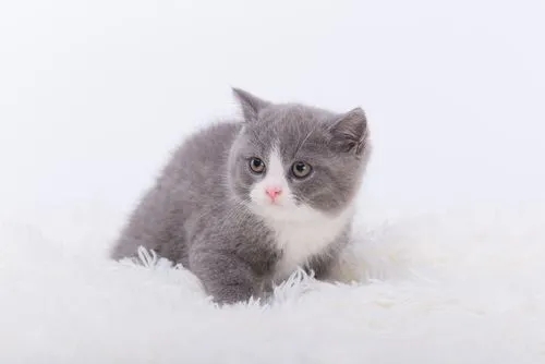 1652522265194222.jpg 666.webp.jpg