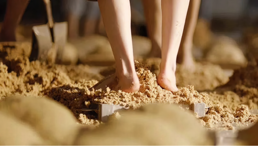 1655366268475320.png 1655366268475320.png