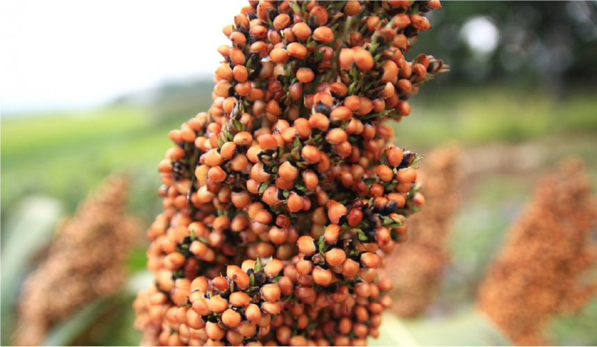 1655366311871456.png 1655366311871456.png