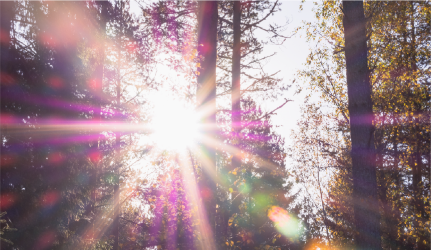 1655366351243440.png 1655366351243440.png