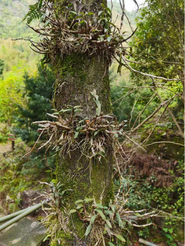 1652930136131838.png 1652930136131838.png