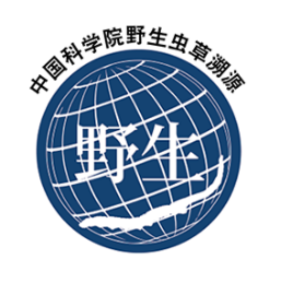 1685169131771524.png image.png